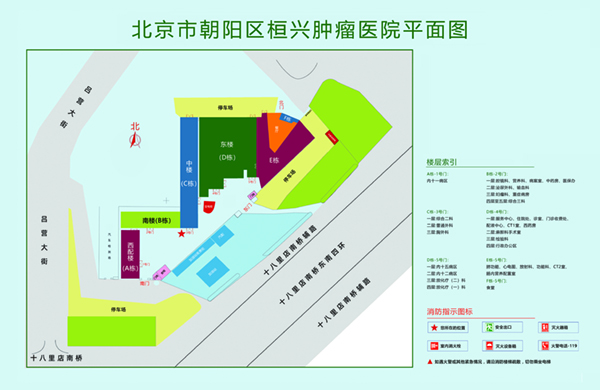 操屄视频小日本北京市朝阳区桓兴肿瘤医院平面图